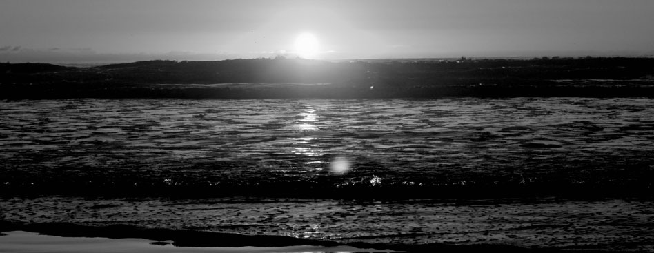 充值平台快速的云呼讨债神器软件